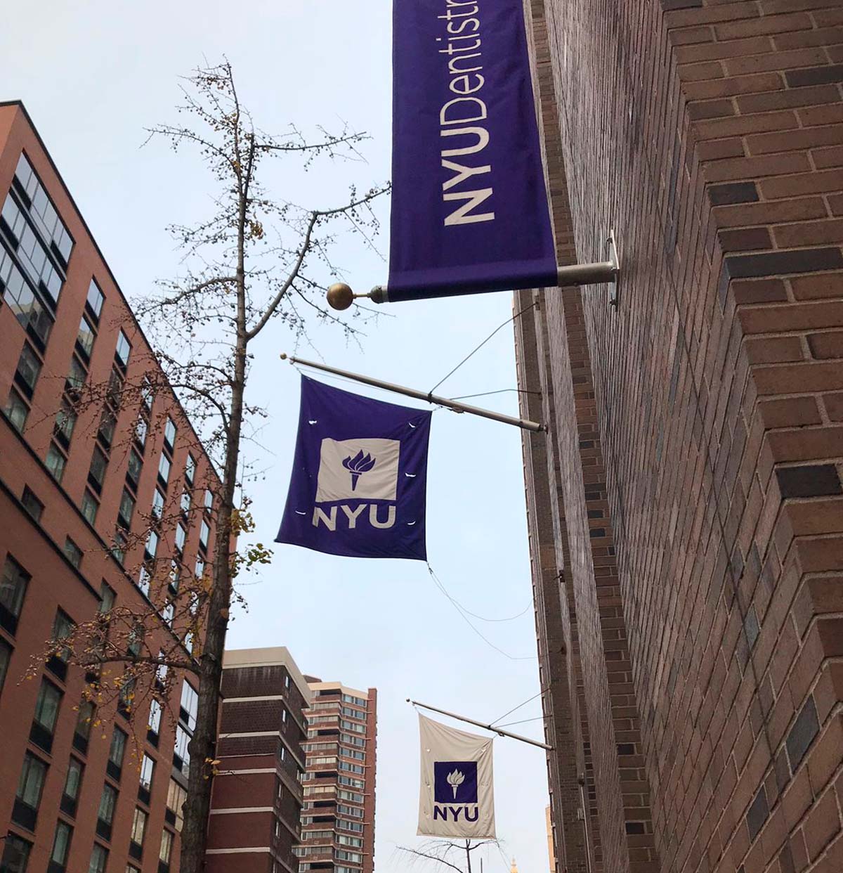 Fachada da NYU College of Dentistry